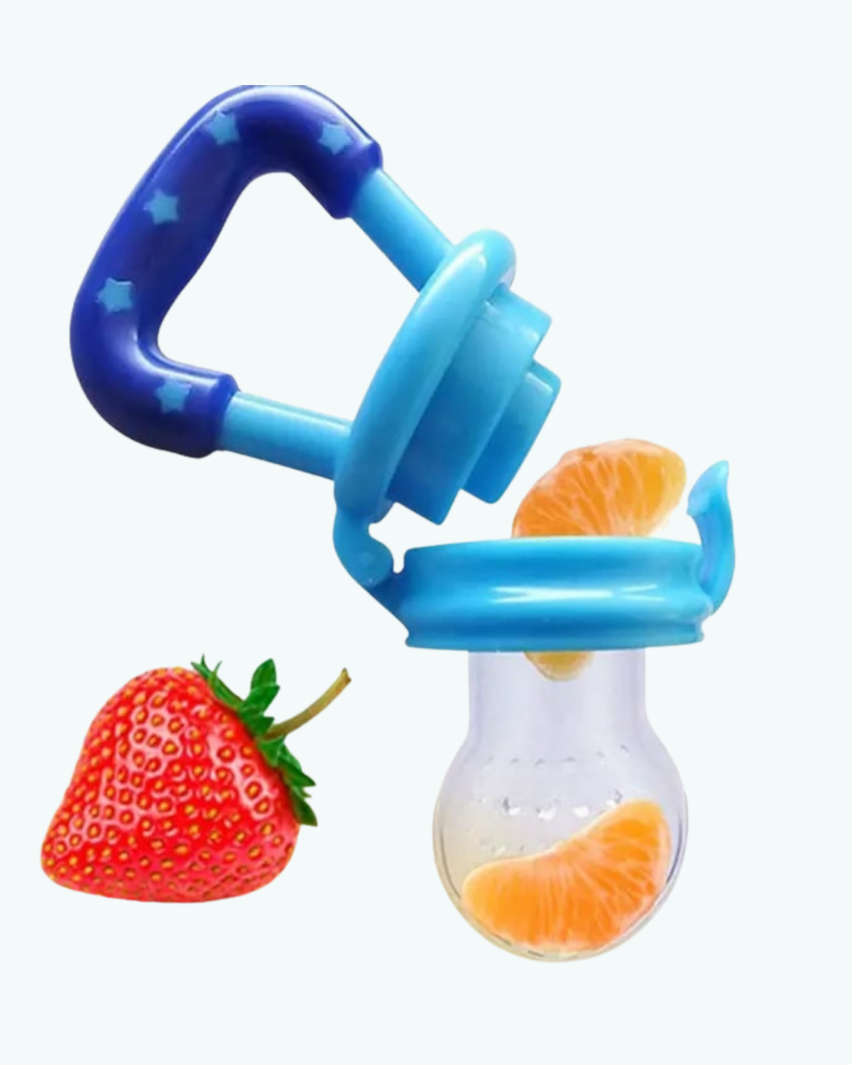 Fruit Feeder Pacifier